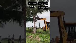 Download lagu Timbi gausar khali #music mp3 Download lagu Timbi gausar khali #music mp3