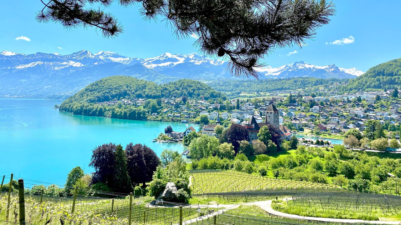 Discover the highlights of Spiez Vineyard Sensory Adventure Trail.