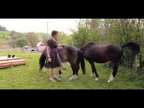 1  CHRISSIE HYNDE & JAMES WALBOURNE – DYLAN LOCKDOWN SERIES 01 IN THE SUMMERTIME