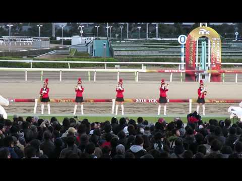 ファンファーレ｜大井競馬場｜重賞競走｜第42回東京2歳優駿牝馬(SⅠ)｜優勝馬：アークヴィグラス　#Shorts