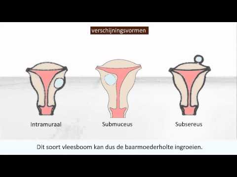 download lagu mp3 mp4 Myoom, download lagu Myoom gratis, unduh video klip Download Myoom Mp3 dan Mp4 Free All Gratis