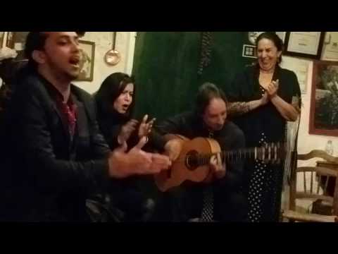 Jafelin Sings Bulerias at the Maria La Canastera show in their cave at Sacromonte - Granada, Spain