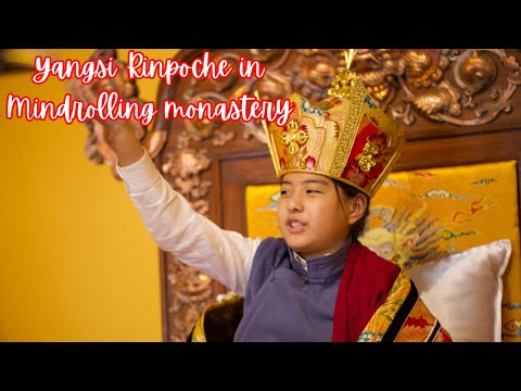 Yangsi Rinpoche at Mindrolling Monastery In  India || Yangsi Dungsey Gyanata Rinpoche