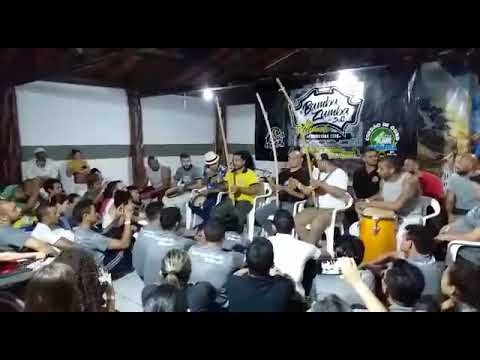 Tony, pitoco e formica na cantoria.