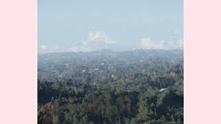 Hand In Hand (AnnenMayKantereit Cover)