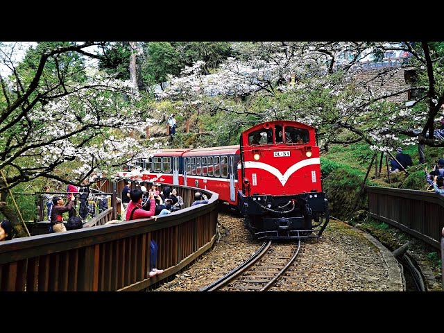 阿里山林業鐵路