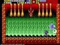 Ninja Gaiden Sega Master System Ending