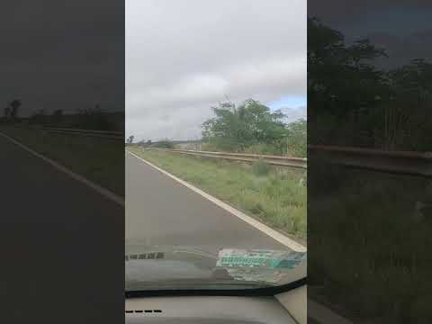 Inundación en Corrientes HOY 21 de Octubre 2026 - Así está RN14 Alvear #corrientes
