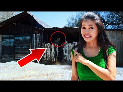 EXPLORING HAUNTED ABANDONED TOWN Searching for YOUTUBE HACKER