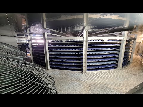 Used spiral freezer Heinen SF 10.7-11-20S