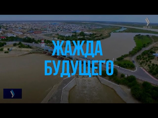 Жажда будущего