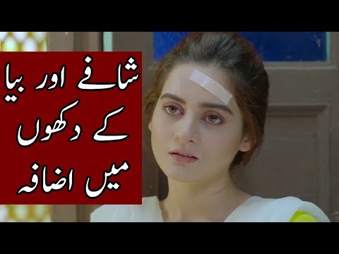 Bay Dardi - Episode 24 - 25 Full Story Review in Urdu | Aiman Khan | Affan Waheed | Ary Digital