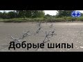 Вектор Движения №89. Добрые шипы. 