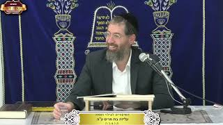 ברכות דף י"ט ע"א וע"ב ¤ הרב ישי לסר ¤ ל' אב תשפ"ה (24.8.2024) (מוסדות תורת דוד) - התמונה מוצגת ישירות מתוך אתר האינטרנט יוטיוב. זכויות היוצרים בתמונה שייכות ליוצרה. קישור קרדיט למקור התוכן נמצא בתוך דף הסרטון