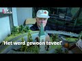 Tars Bennis (74) opent eigen pop-up store om enorme treinverzameling te verkopen | RTV Utrecht
