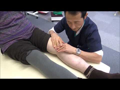 変形性関節症の犬の理学療法