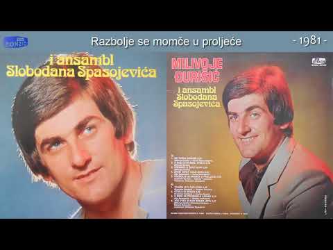 Milivoje Djurisic - Razbolje se momce u prolece - (Audio 1981)