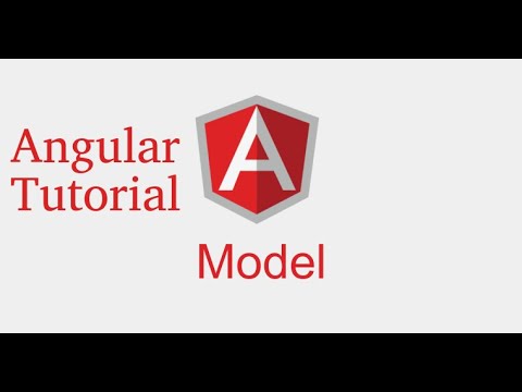 Angular 9 tutorial what is model interface