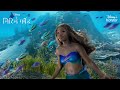 Disney S The Little Mermaid Hindi September 6 DisneyPlus Hotstar