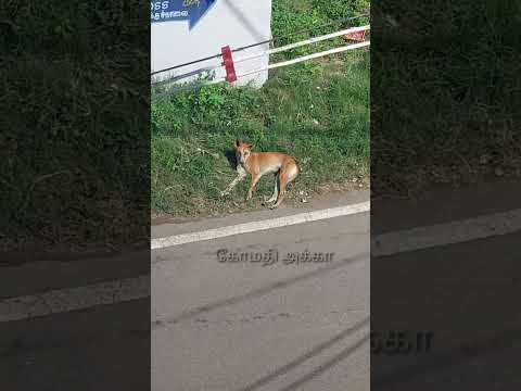 GOOD MORNING FRIENDS 🙏😂😂