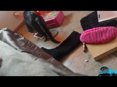 Shaylee sees her reflection