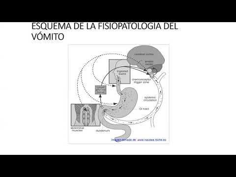 11 Antieméticos y proquinéticos  Antidiabéticos  Tiroides