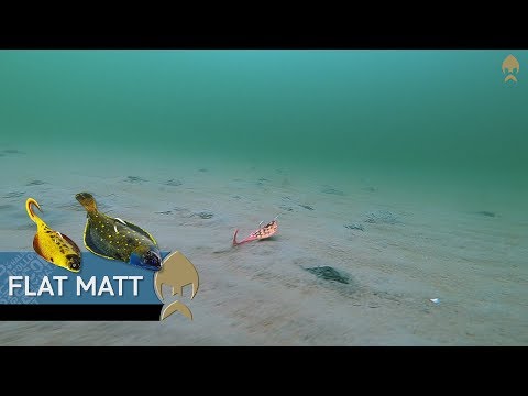 Flat Matt - Westin-Fishing