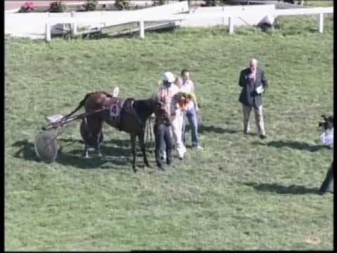 2011 Duindigt Sprintkampioenschap der Vierjarigen II - Alabama K (Michel Rothengatter)