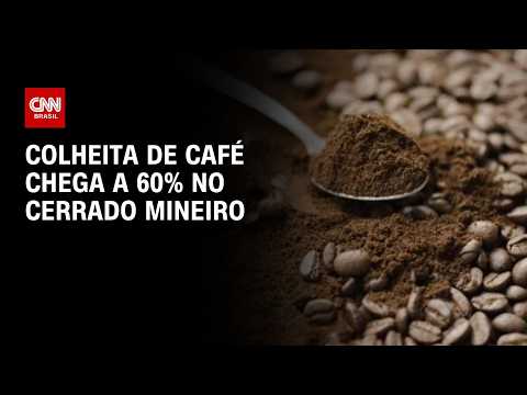 Colheita de café chega a 60% no Cerrado Mineiro, mas maturação é irregular | CNN AGRO NEWS