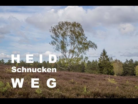 Heidschnuckenweg | Etappe 2 Buchholz – Handeloh | Wandern Lüneburger Heide