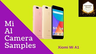 Xiomi Mi A1 Camera Samples | Opinion | Tamil Smile Channel |