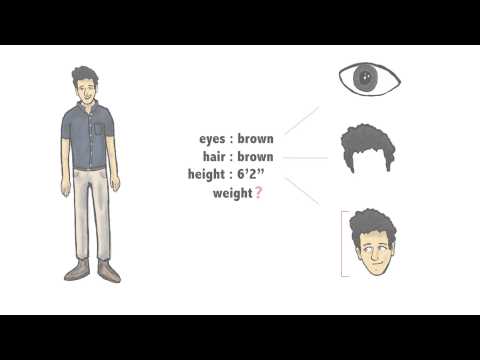 XML in Practice Data Wrangling with MongoDB