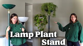 Turning a thrifted lamp into a plant stand