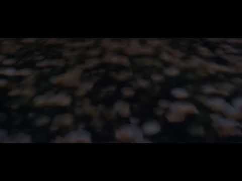 Sue Lèwig - Stellan [VEYL030]