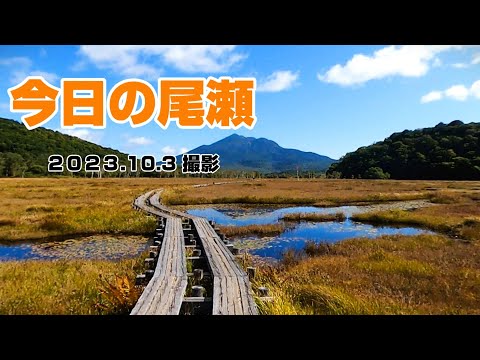 2023.10.3 今日の尾瀬（尾瀬ヶ原）