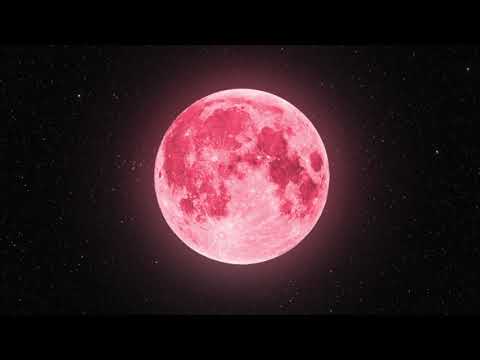 [FREE] PNL x Damso Type Beat 2021 - "LUNE" (Prod. By Rêve | INSTRU TRAP 2021