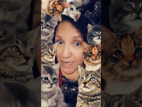 Marisa and the kids 10/11/2024