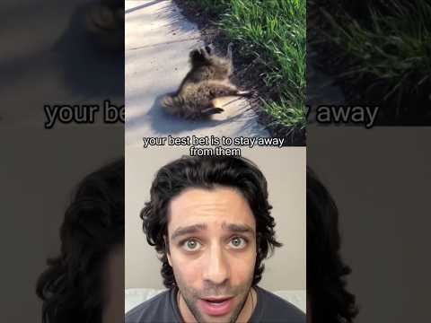 How to Survive Rabies! #Shorts