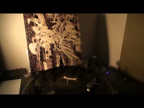 Temple Nightside - The Howling Void, As Wolves