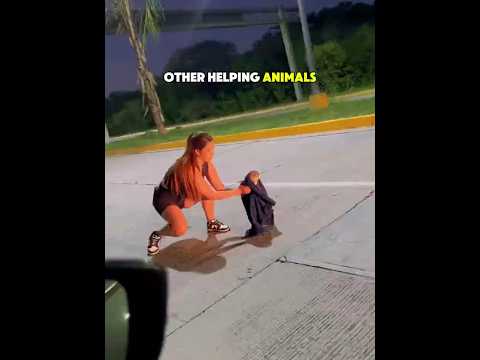 Other Acts of Animal Kindness 🐾❤️