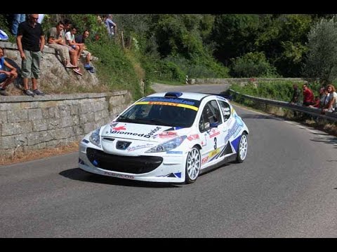 RALLY  DI REGGELLO  E VALDARNO FIORENTINO 2014