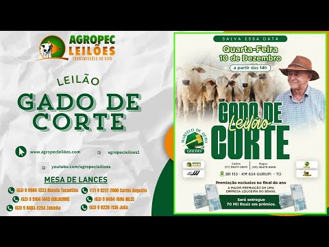 agropecleiloes.com LEILÃO GADO DE CORTE | MARTELO DE OURO LEILÕES - GURUPI-TO 10/12/2025.