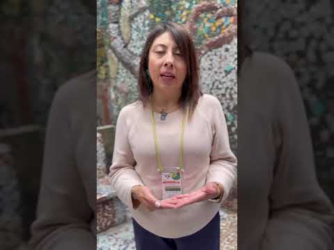 VII Foro Distrital - Libertad Religiosa