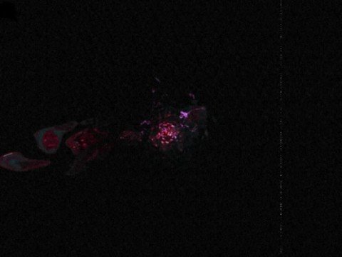 Dj Memo Vs. Chris Kaeser - Mini One (2008) [ WwW.Music-Sound