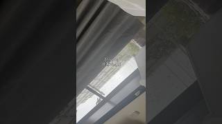 日常Vlog #vlog #ばずれ #ルーティン #一人暮らし #fyp