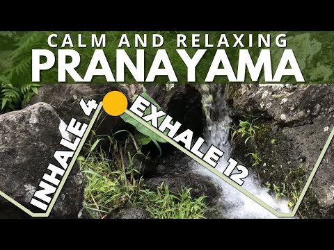 Pranayama: Exhale 3x Longer Than Inhale (4-1-12-1)
