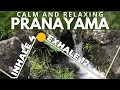 Pranayama Exhale 3x Longer Than Inhale 4 1 12 1
