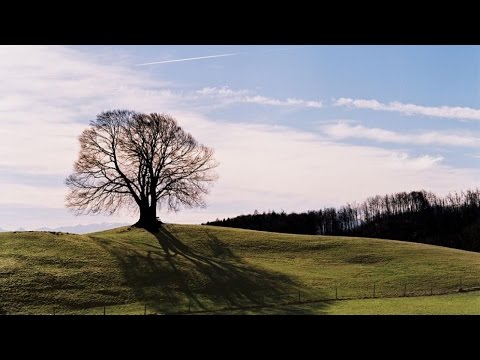 Wo schmeckt Bayerns Bier am besten? In Oberfranken! | BR