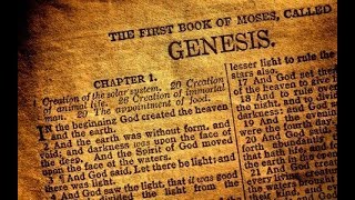 2 Creation Stories in Genesis are Different? What does it mean for the bible?