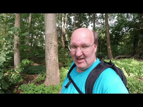 MongoTV_3518 - Danish Vlog - Sommer Er Tilbage og Jeg Går En Lille Tur i Skoven